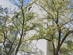 Colentina, Rau Fundeni, Maior Vasile Bacila