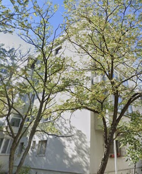 Colentina, Rau Fundeni, Maior Vasile Bacila,