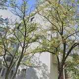 Colentina, Rau Fundeni, Maior Vasile Bacila